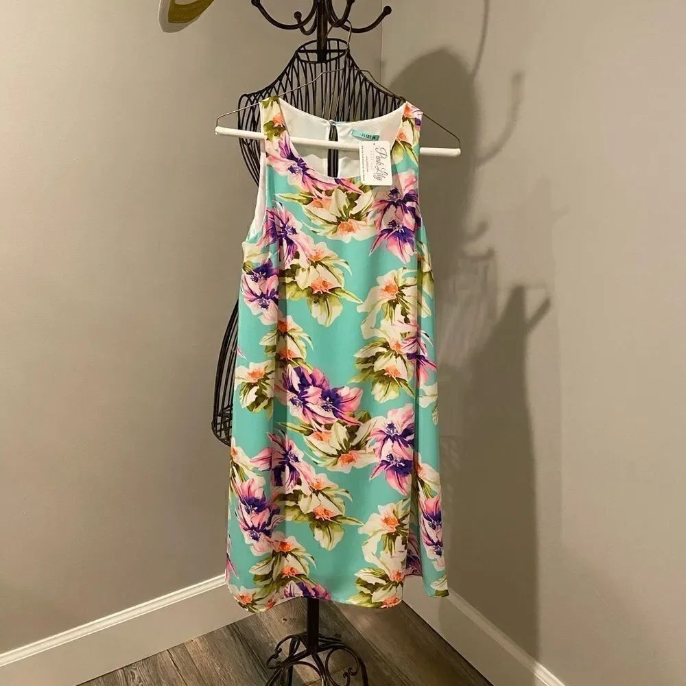 (NWT) Pink Lilly sun dress